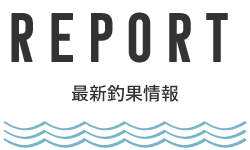 最新釣果情報