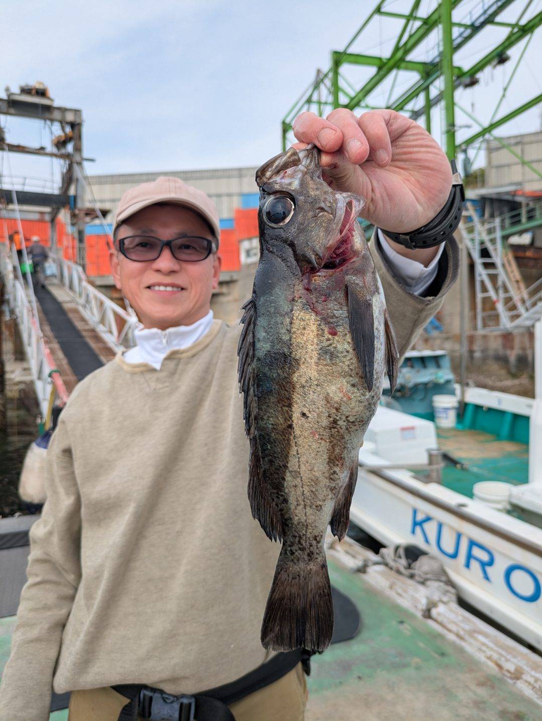 メバルサビキ釣果