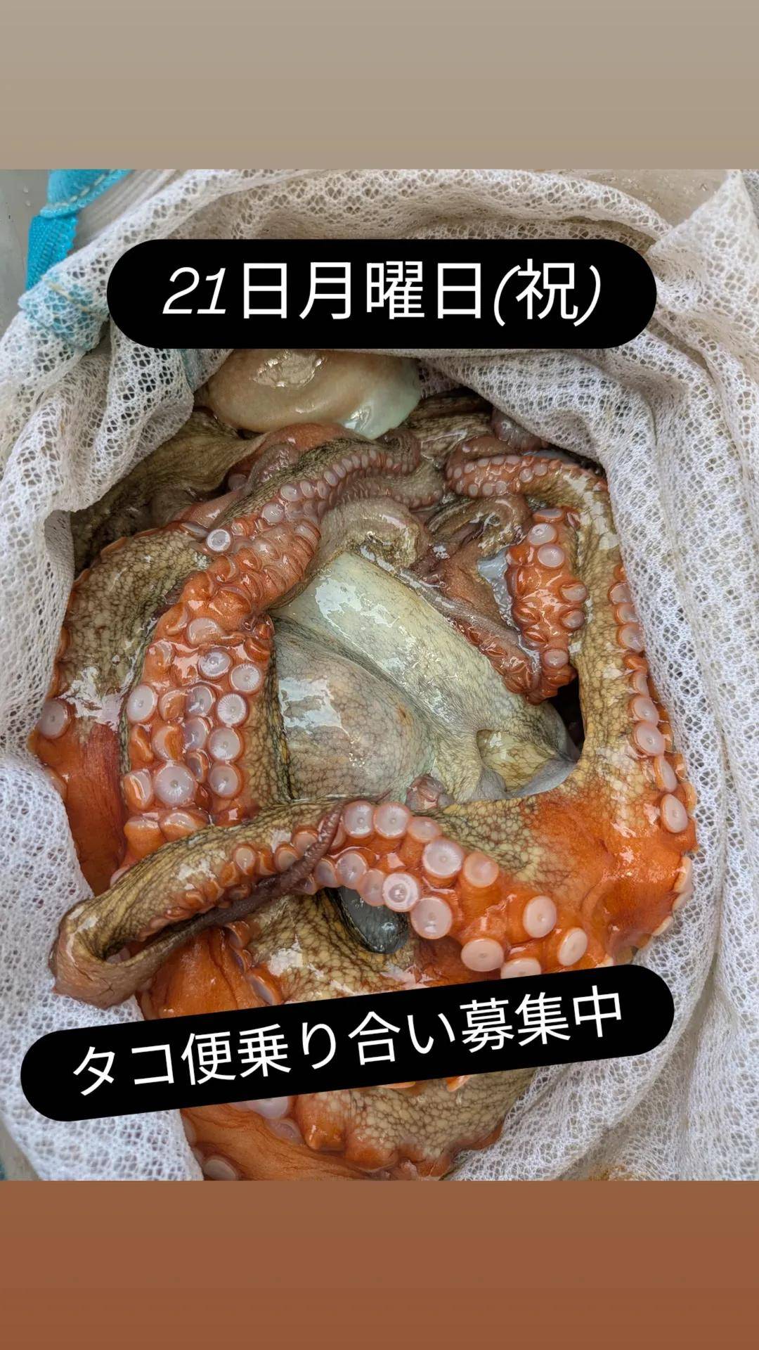 募集中