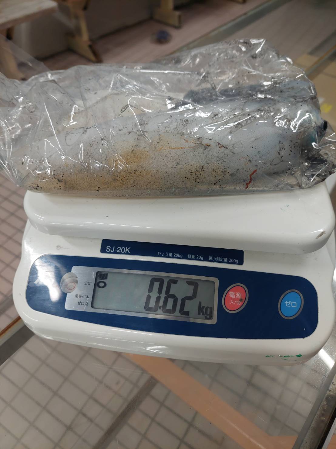 調査報告‼️
