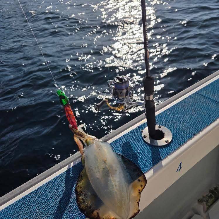 チャーター釣果