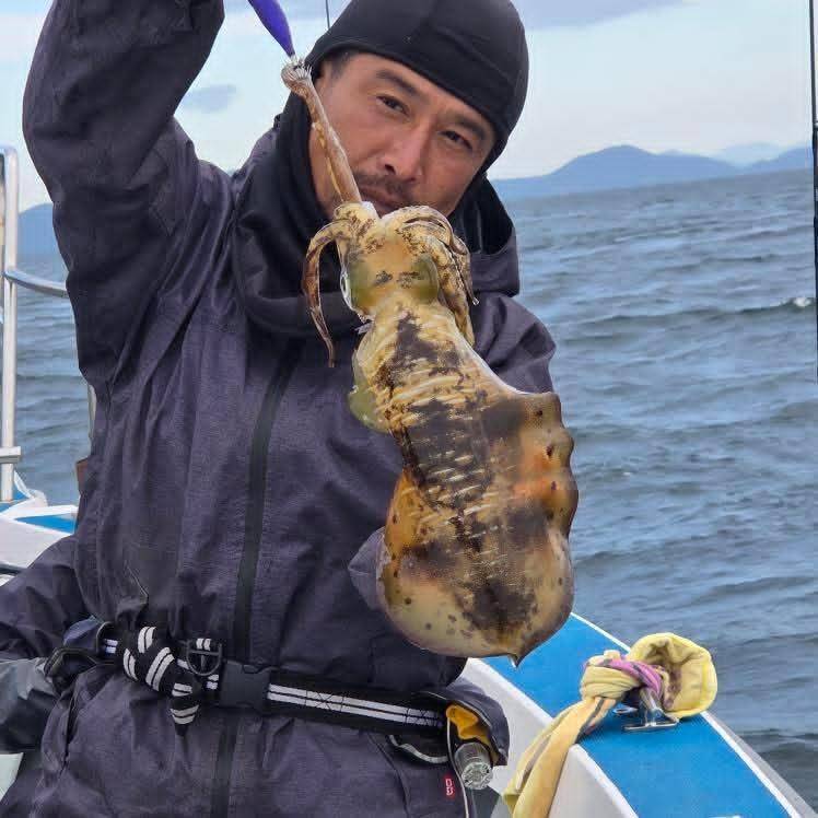 11/11アオリ釣果