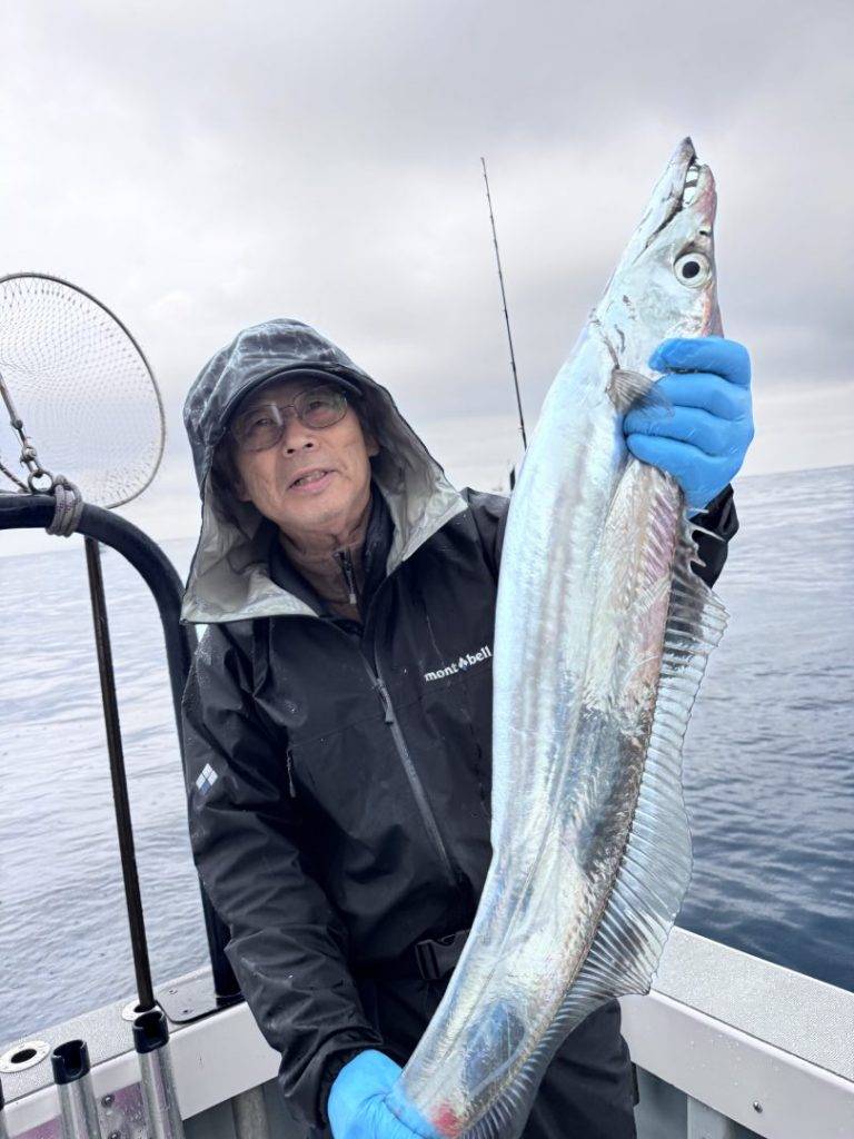 豊後タチウオ好調です