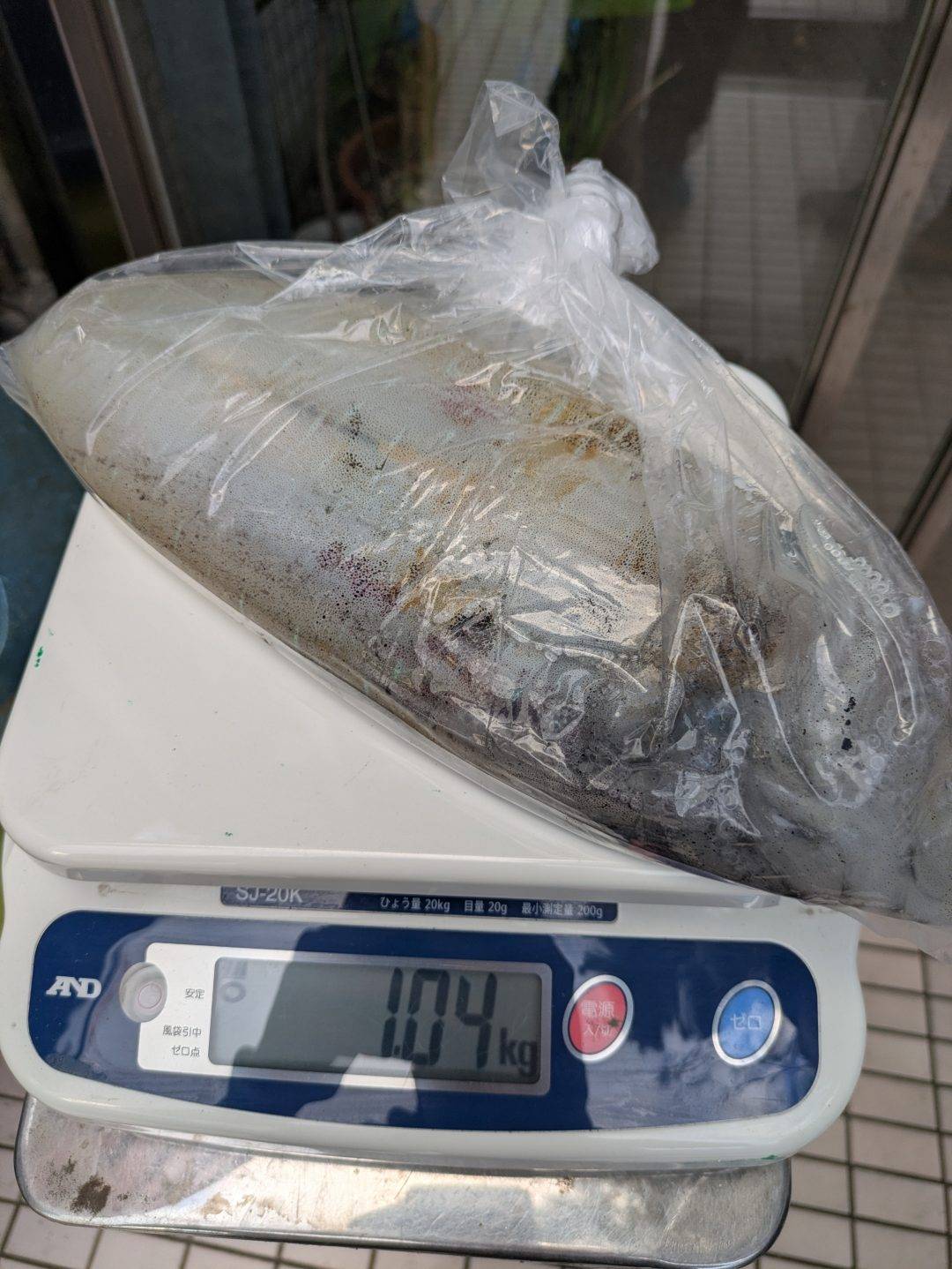 11/19キロ超え出た！！