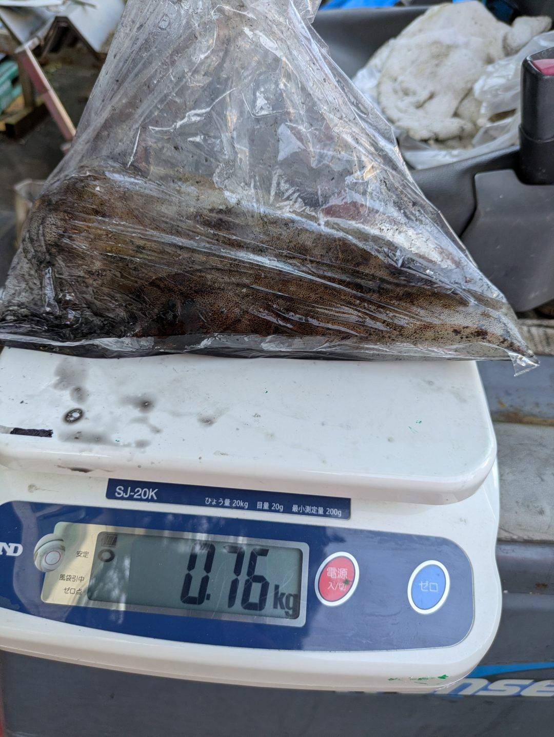 11/23アオリ‼️レコード出たよ