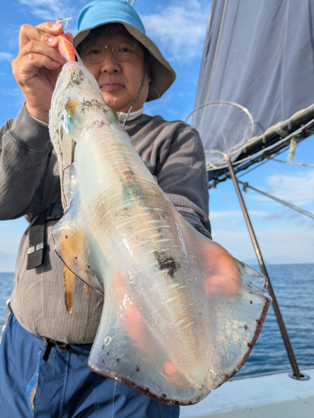 日曜日アオリ募集中
