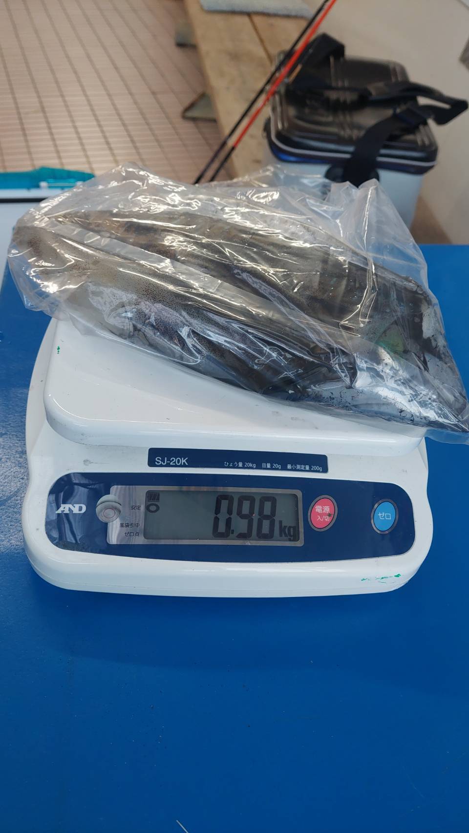 12/8アオリキロ越え出たよ‼️