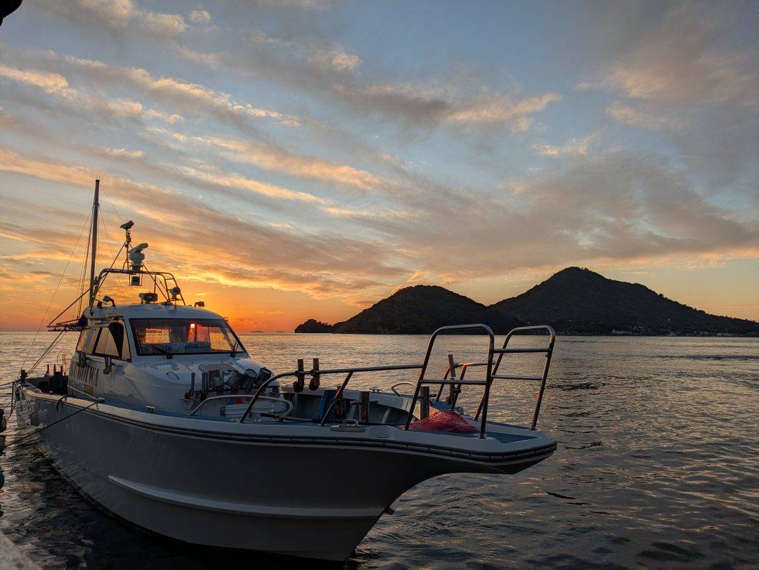 12/5(金)・12/6(土)青物便乗り合い募集中