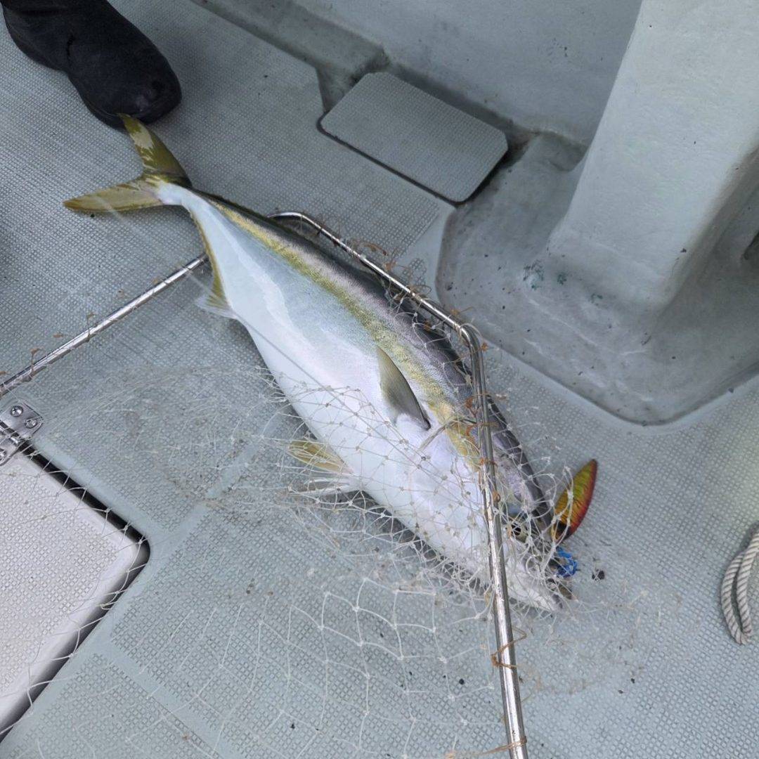 1/3ジギング釣果報告