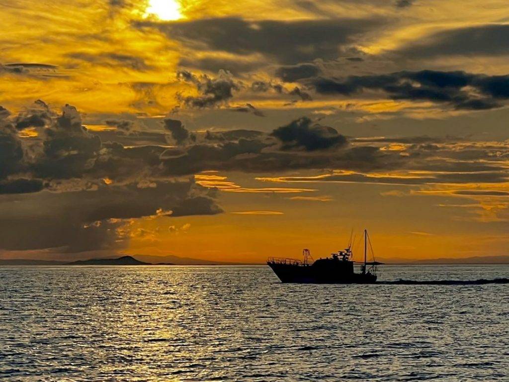 豊後タチウオ募集