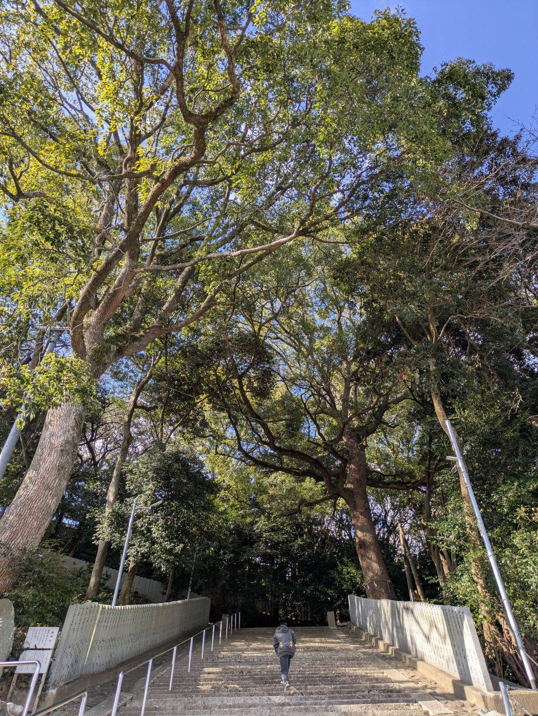 4日太刀魚便‼️ 乗り合い募集中