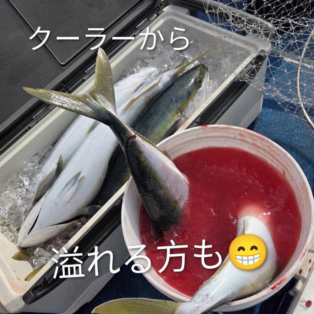 最近の釣果