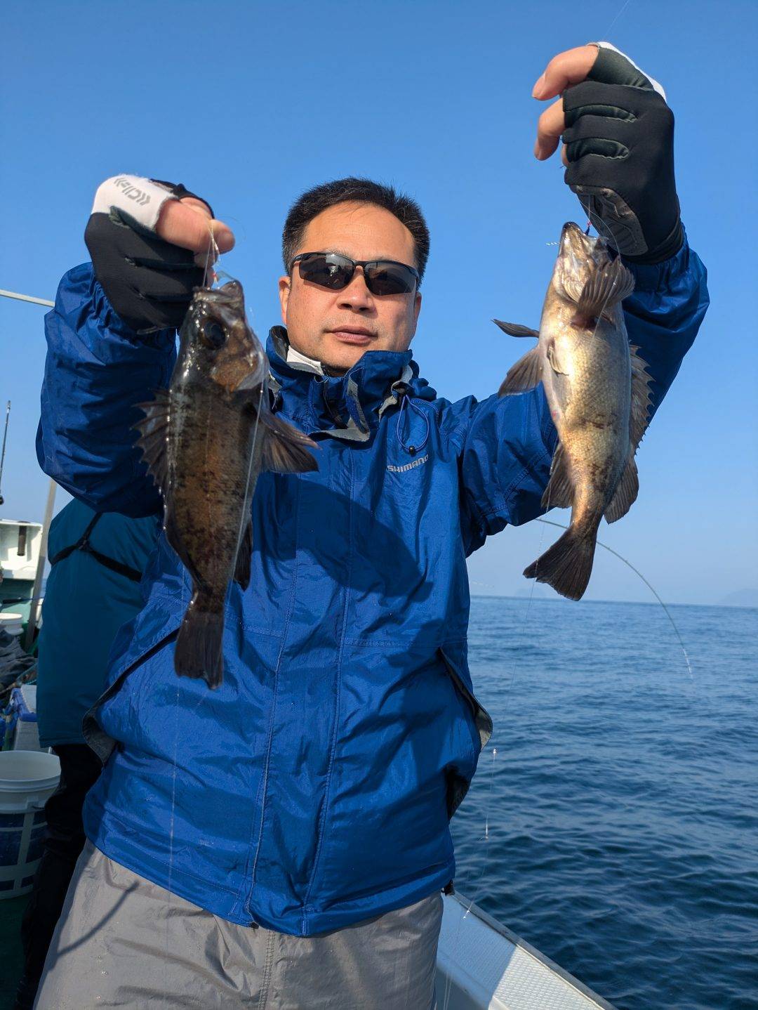 明日メバル募集中！！