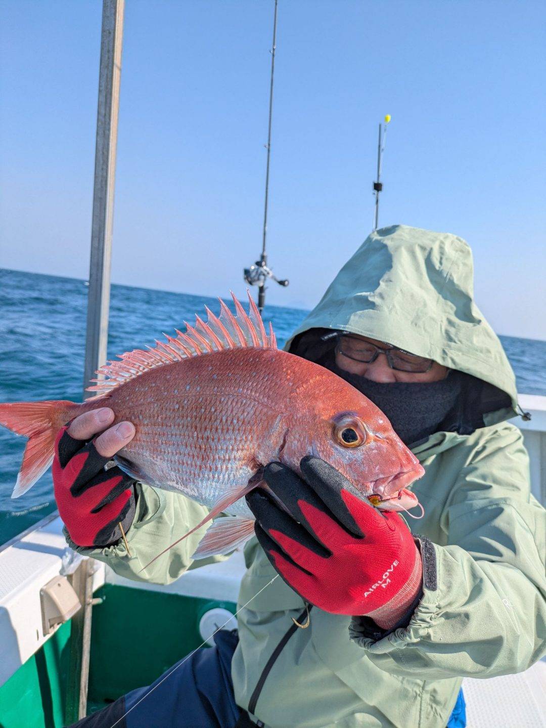 明日 鯛ラバ募集