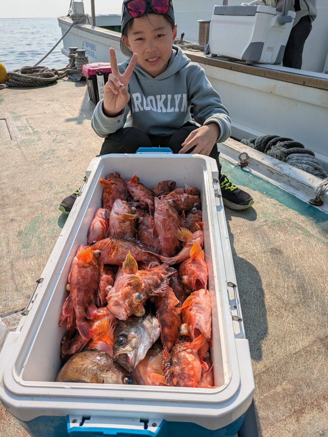 松山営業所ホゴ便募集のお知らせ