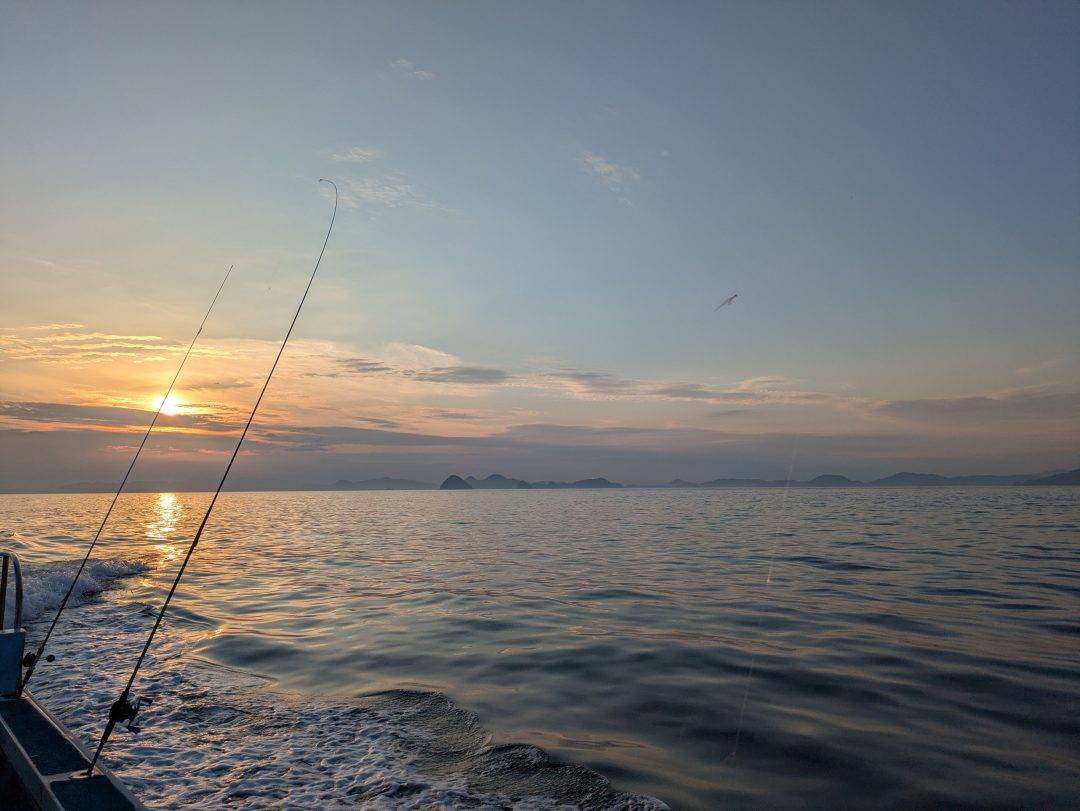 金曜日メバル募集中