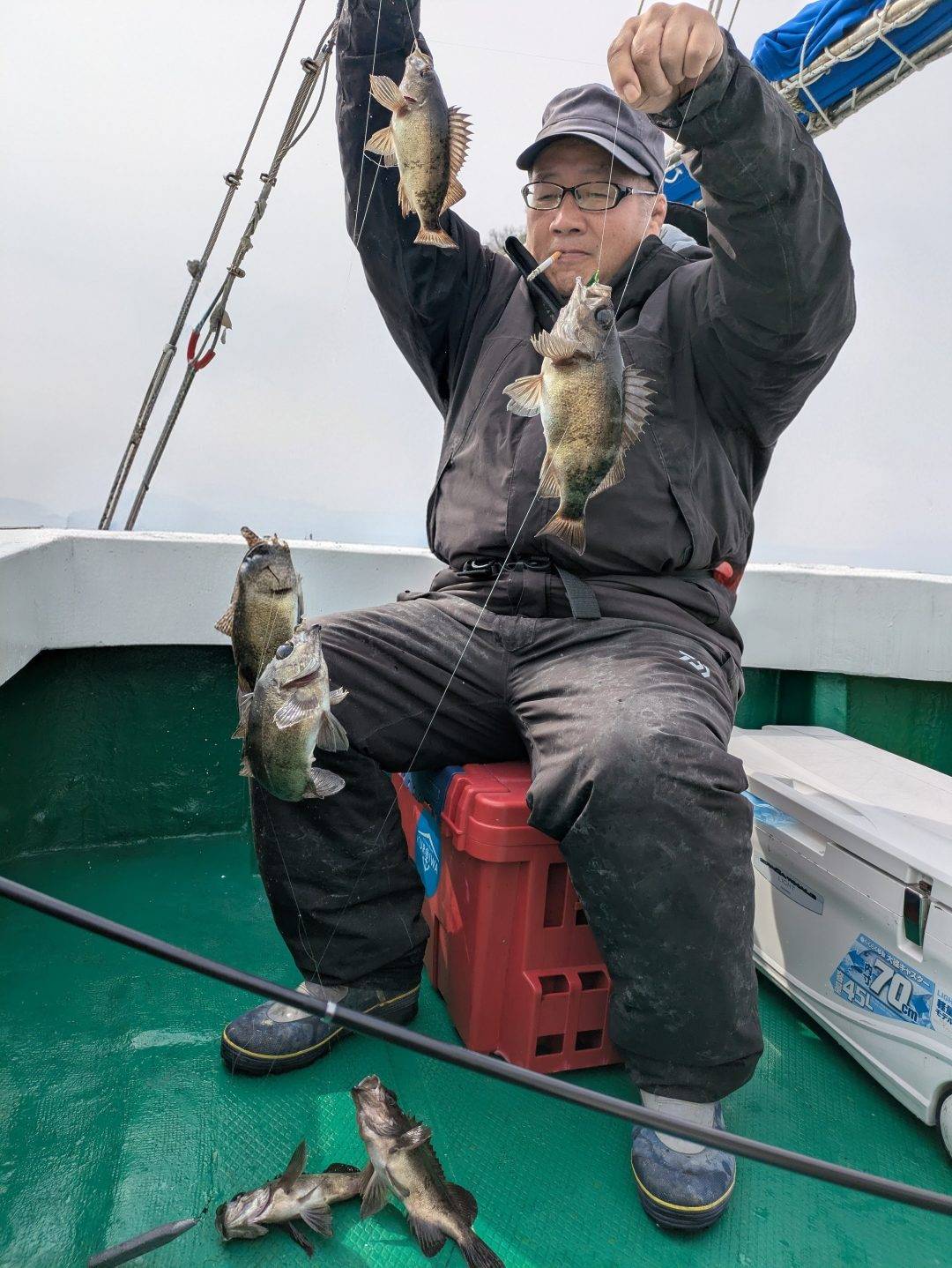 4月6日メバル便入れ食い爆釣