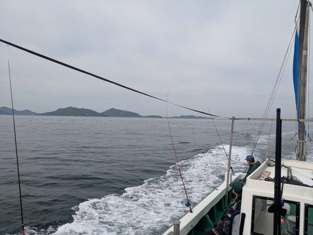 ナブラ発見！！