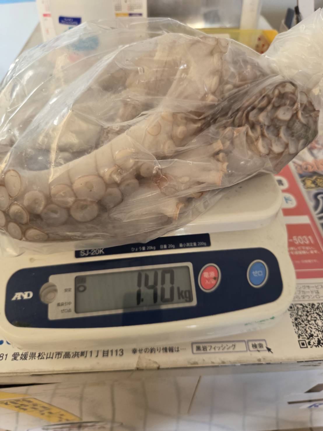 タコおるよ～☆
