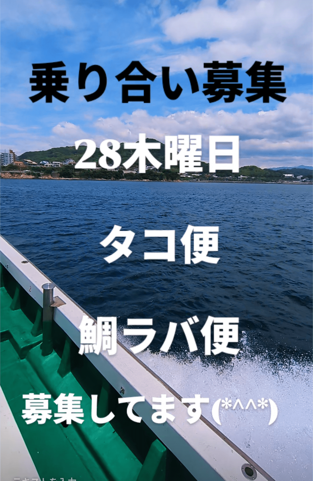 鯛、タコ募集中