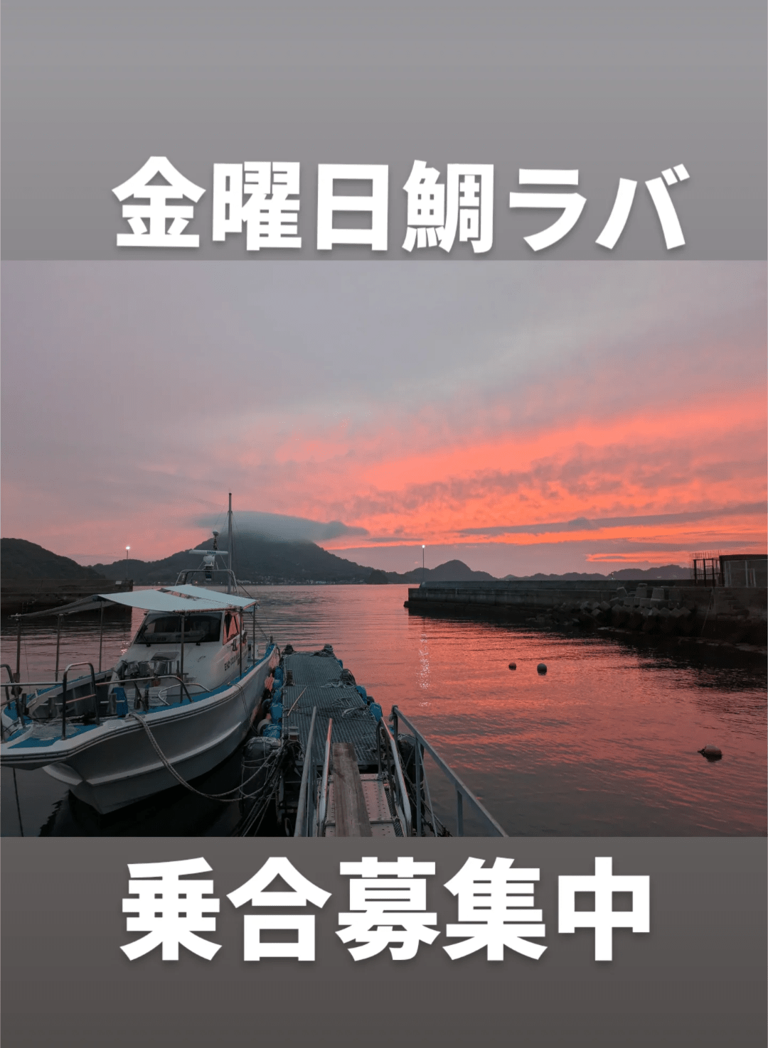 乗合募集中です