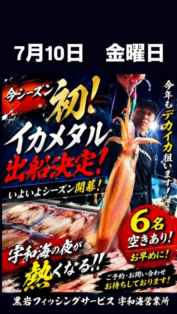 宇和海イカメタル開始
