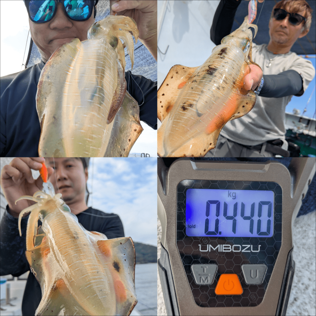 9月19日土曜日アオリイカ釣果
