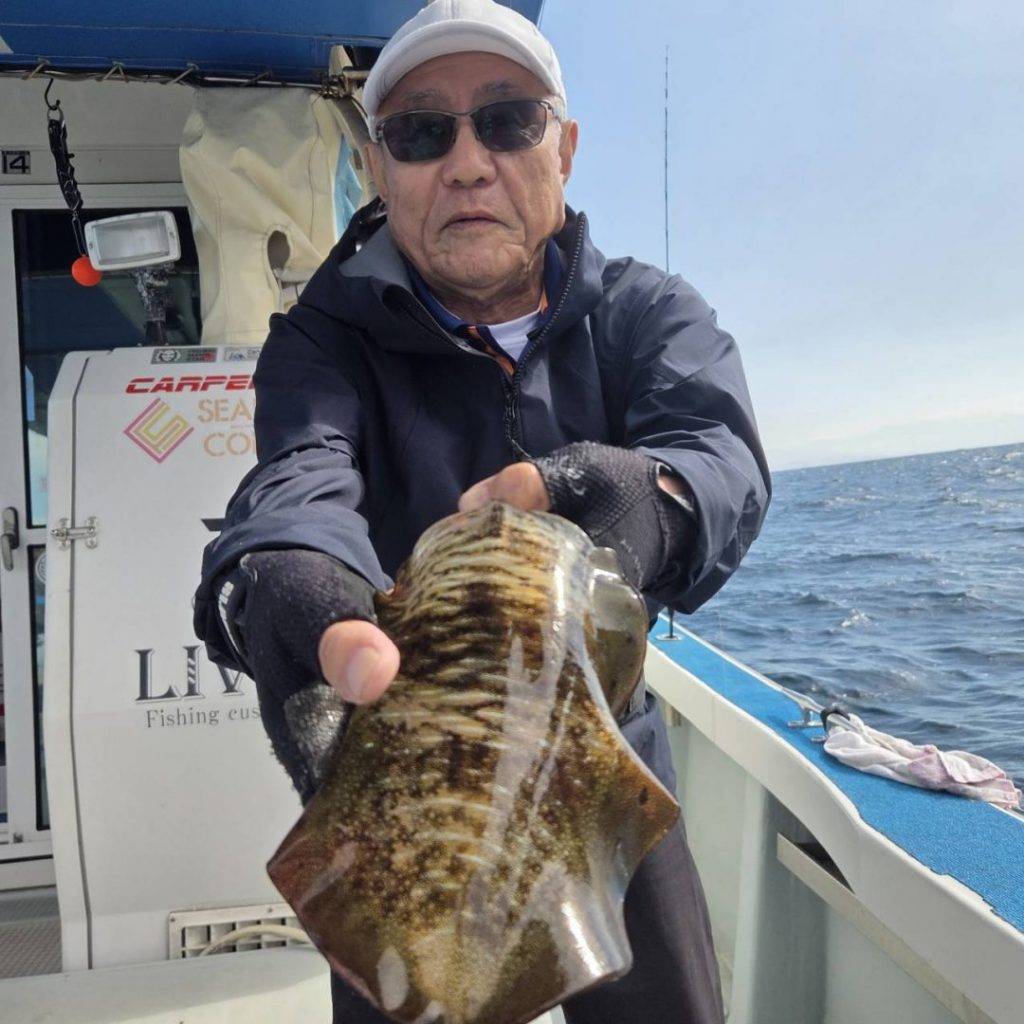10/9アオリイカ乗合釣果情報🦑